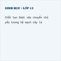 Trắc nghiệm Sinh Bài 2 (có đáp án): Vận chuyển các chất trong cây