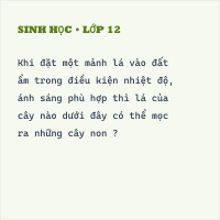 Trắc nghiệm Sinh Học Bài 26: Sinh sản sinh dưỡng tự nhiên
