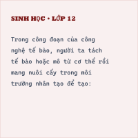 Trắc nghiệm Sinh Học Bài 31 (có đáp án) : Công nghệ tế bào