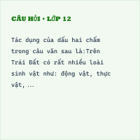 Trắc nghiệm Ôn tập các dấu câu, các kiểu câu đã học có đáp án - Thumbnail