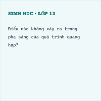 Đề kiểm tra học kì 1 Sinh học 10 có đáp án - Đề 2