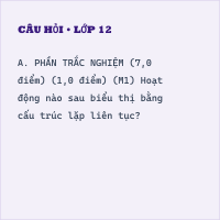 Đề thi cuối kì 2 Tin học 5 có đáp án - Đề 3