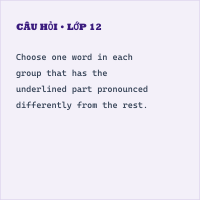 Kiểm tra Unit 1