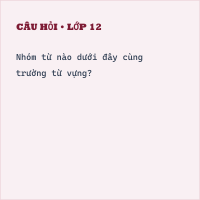 Trắc nghiệm: Thực hành về nghĩa của từ trong sử dụng có đáp án