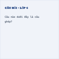 Đề thi vào lớp 6 môn Tiếng Việt Sở trường Trưng Vương - Đà Nẵng có đáp án