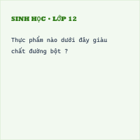 Đề thi Sinh học 8 Học kì 2 có đáp án (Trắc nghiệm 4)