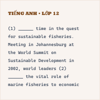 Trắc nghiệm tổng hợp Tiếng Anh 2025 có đáp án (Phần 28)