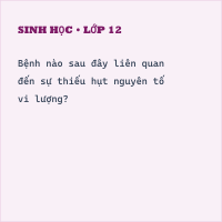 Trắc nghiệm Sinh học 10 Bài 4 có đáp án