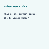 Trắc nghiệm Tiếng Anh lớp 5 Unit 20: Our summer holiday - Reading & Writing - có đáp án