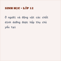Chuyên đề Sinh 11 Chủ đề 9: Tiêu hóa ở động vật