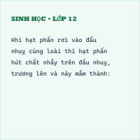 Trắc nghiệm Sinh Học Bài 31: Thụ tinh, kết quả và tạo hạt
