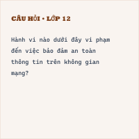 Đề thi giữa kì 1 Tin học 9 có đáp án (Đề 3) - Thumbnail
