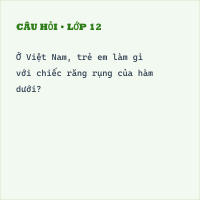 Trắc nghiệm Nghe - kể: Chiếc răng rụng có đáp án