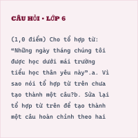 Đề thi vào lớp 6 môn Tiếng Việt trường Lương Thế Vinh năm 2020 có đáp án