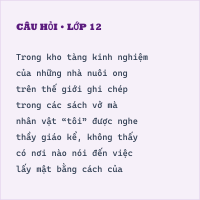 Trắc nghiệm Đi lấy mật có đáp án