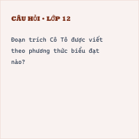 Trắc nghiệm Cô Tô có đáp án (Phần 2)