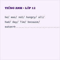Đề kiểm tra 15 phút Tiếng Anh 11 Học kì 1 có đáp án (Đề 4)