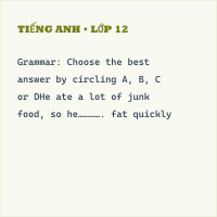 Đề thi Tiếng Anh 7 Thí điểm Học kì 1 có đáp án (Đề 2)
