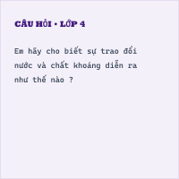 Đề thi cuối kì 1 môn Khoa học lớp 4 có đáp án (Đề 1)