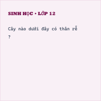 Trắc nghiệm Sinh Học Bài 18: Biến dạng của thân