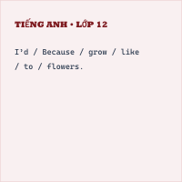 Trắc nghiệm Tiếng Anh 5 Unit 5: My future job-Reading & Writing- có đáp án