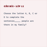 Bài tập Trắc nghiệm Unit 3 Vocabulary and Grammar có đáp án