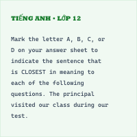 Đề thi giữa kì 1 Tiếng Anh 11 có đáp án- Đề 4