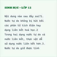 Trắc nghiệm Sinh Bài (có đáp án): Cấu tạo của rễ phù hợp với sự hấp thụ nước và muối khoáng