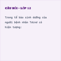 Hỏi Trắc nghiệm Di truyền người (đề 1) có đáp án