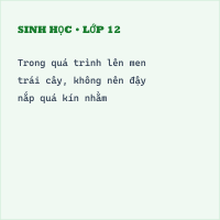 Trắc nghiệm Sinh học 10 Bài 28 có đáp án - Thumbnail