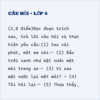Đề thi vào lớp 6 môn Tiếng Việt trường Nguyễn Tất Thành năm 2023 có đáp án