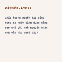 Bài tập Lao động và việc làm có đáp án
