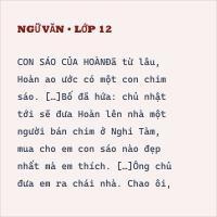 Đề thi thử vào 10 môn Ngữ Văn - Năm 2025 - Trường THCS Thái Sơn (Huyện An Lão) Lần 1 có đáp án