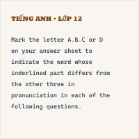 Đề thi thử THPTQG môn Tiếng Anh cực hay có đáp án (Đề số 11)