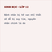 Trắc nghiệm Sinh học 11 Bài 10 có đáp án
