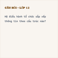 Trắc nghiệm Tin học Bài 11 (có đáp án): Tổ chức thông tin trong máy tính