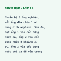 Trắc nghiệm Sinh học 10 Bài 10 có đáp án