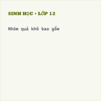 Trắc nghiệm Sinh Học Bài 32: Các loại quả