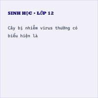 Trắc nghiệm Sinh học 10 Bài 22 có đáp án