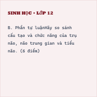 Đề thi Sinh học 8 Học kì 2 có đáp án (Tự luận - Tự luận 2)