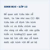Trắc nghiệm Sinh Học 10 (có đáp án): Ôn tập chương 4: Phân bào