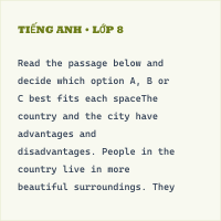 Đề thi giữa học kì 1 môn Tiếng Anh lớp 8 có đáp án (đề 10)