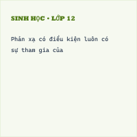 Đề thi giữa kì 2 Sinh học 8 có đáp án (Trắc nghiệm - Trắc nghiệm 4)