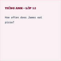 Trắc nghiệm Tiếng Anh 6 Unit 3: All about food - Reading: All about food - có đáp án - Thumbnail