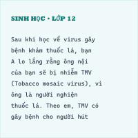 Bộ Đề kiểm tra học kì 2 Sinh học 10 có đáp án- Đề 2