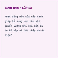 Trắc nghiệm Sinh Học Bài 46: Thực vật góp phần điều hòa khí hậu