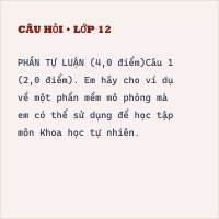 Bộ đề thi cuối học kì 1 Tin 9 có đáp án (Đề 2)