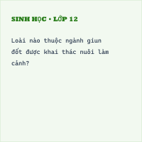 Trắc nghiệm Sinh học Bài 17 (có đáp án): Một số giun đốt khác và đặc điểm chung của ngành Giun đốt