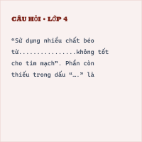 Trắc nghiệm Khoa học lớp 4 KNTT Bài 24: Chế độ ăn uống cân bằng có đáp án