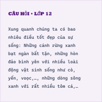 Bộ đề thi Tiếng Việt ôn vào 6 năm 2023 - 2024 có đáp án (Đề 13)